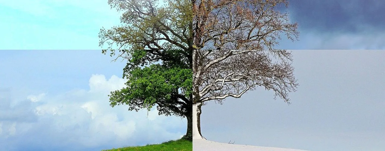 Φυσικοθεραπεία στη Σκλήρυνση κατά Πλάκας (Multiple sclerosis) 1 Σκλήρυνση κατά Πλάκας